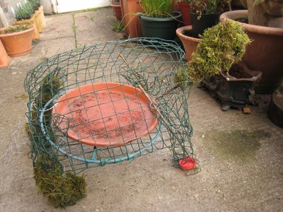 Photo 8.JPG