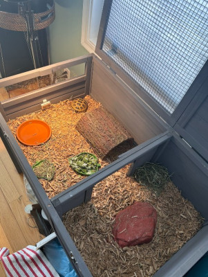 Leaf's Enclosure.jpg