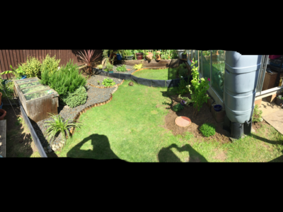 IMG_5872.PNG
