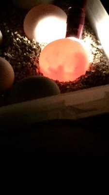 IMG_5891.JPG