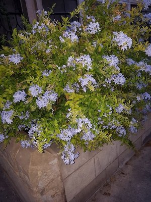 20170819_195805.jpg