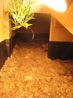 m_IMG_9510.jpg