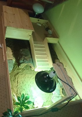 _20170909_225757.JPG