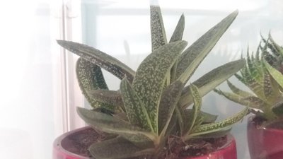 20170914_124044.jpg