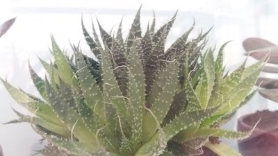 20170914_124052.jpg
