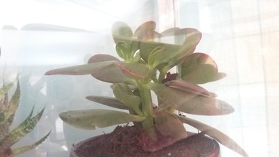 20170914_124057.jpg