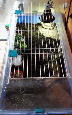 20171001_174639.jpg