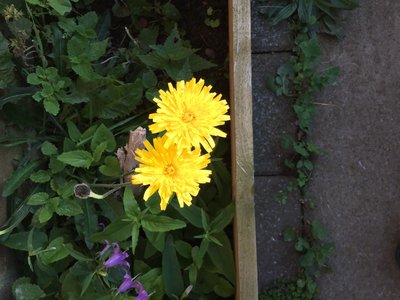 IMG_5615.JPG