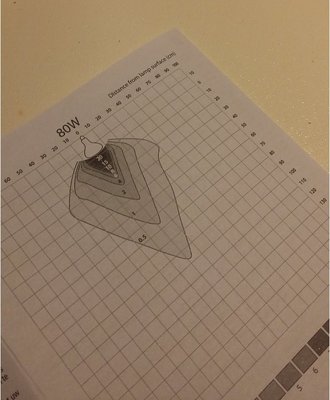 tortoise graph.jpg