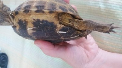 20180306_165924.jpg