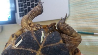 20180306_165933.jpg