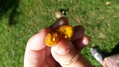 20180313_155404.jpg