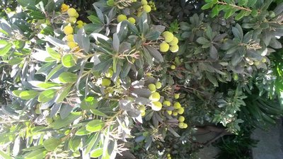 20180313_154146.jpg