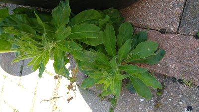 20180507_125223.jpg