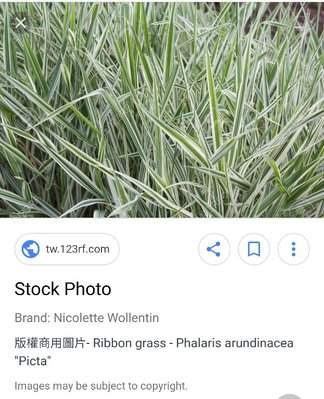 Screenshot_20180522-172329.jpg