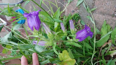 4984D77E-7AA1-44BC-BE7B-E4CD891FF9B4.jpeg