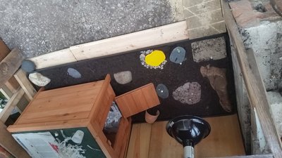 20180619_174824.jpg