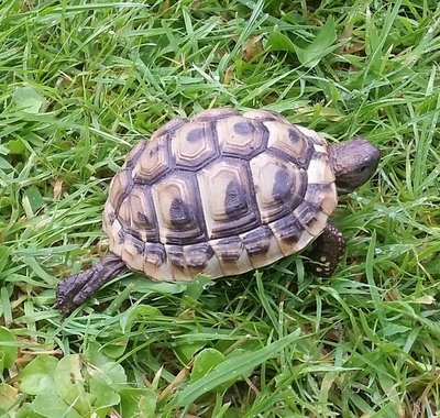20180619_190553-1-1.jpg