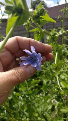 IMG_20180621_132204.jpg