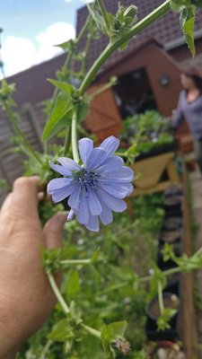 IMG_20180621_132134.jpg