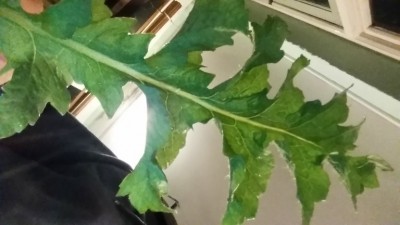 20190306_225246.jpg