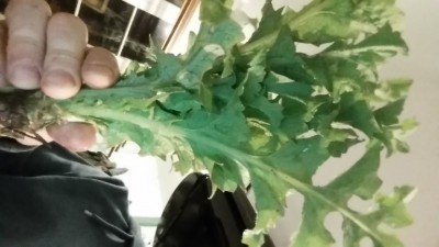20190306_225257.jpg
