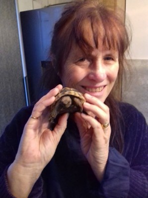 doris tortoise 2.jpg